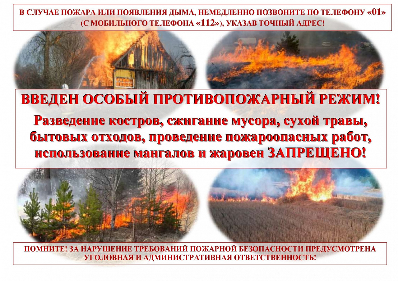 26.07.2024_Особый_противопожарный_режим.jpg